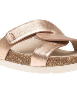 Vividvector.shop0247864441 1