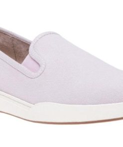 Vividvector.shop06d8b84b03 1