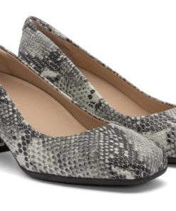 Vividvector.shop0742835bc7 4