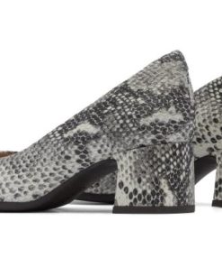 Vividvector.shop0742835bc7 5