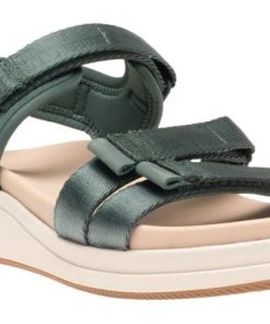 Vividvector.shop091cffe374 1