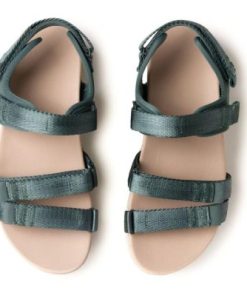 Vividvector.shop091cffe374 2