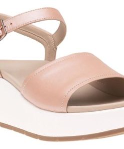 Vividvector.shop10d57049f9 1