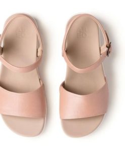 Vividvector.shop10d57049f9 2