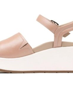 Vividvector.shop10d57049f9 4