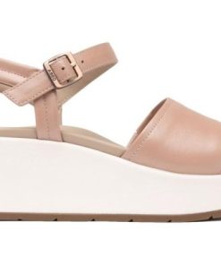 Vividvector.shop10d57049f9 5