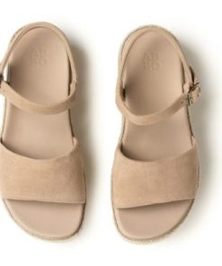 Vividvector.shop11afbbb1b7 2