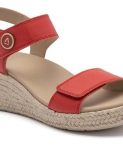 Vividvector.shop140865ff40 1