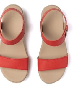 Vividvector.shop140865ff40 2