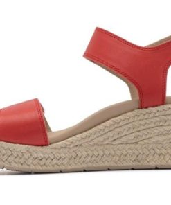 Vividvector.shop140865ff40 4