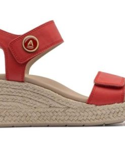 Vividvector.shop140865ff40 5