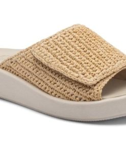 Vividvector.shop14ac7c1ecf 1