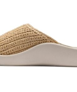 Vividvector.shop14ac7c1ecf 4