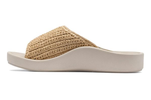 Vividvector.shop14ac7c1ecf 4