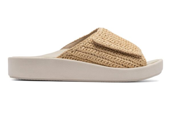 Vividvector.shop14ac7c1ecf 5