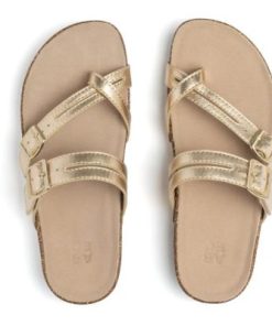 Vividvector.shop19728de4c7 2