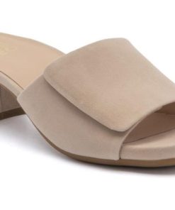 Vividvector.shop1a01492464 1