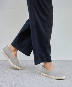 Vividvector.shop1b842d83f0 3