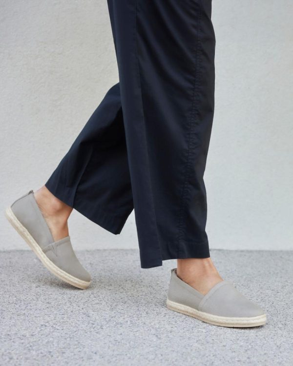 Vividvector.shop1b842d83f0 3