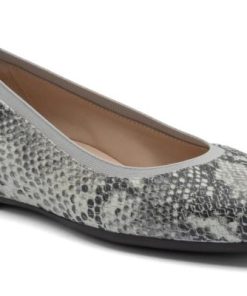 Vividvector.shop1bd2c2bdc8 1