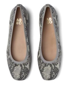 Vividvector.shop1bd2c2bdc8 2