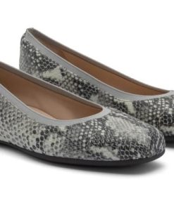 Vividvector.shop1bd2c2bdc8 4