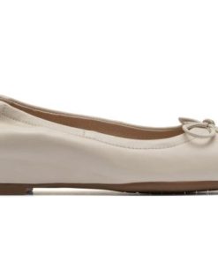 Vividvector.shop1ecfdc93d8 3