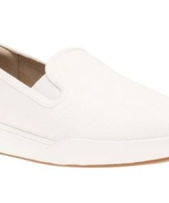 Vividvector.shop2256f2fcea 1