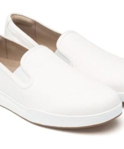 Vividvector.shop2256f2fcea 5