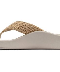 Vividvector.shop2298c2cae1 2