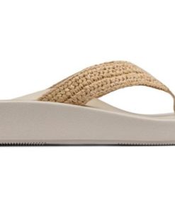 Vividvector.shop2298c2cae1 3