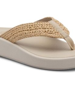 Vividvector.shop2298c2cae1 4