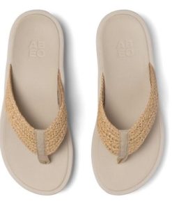 Vividvector.shop2298c2cae1 5