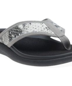 Vividvector.shop22ef1ca0fe 1