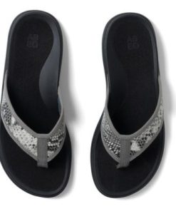 Vividvector.shop22ef1ca0fe 2