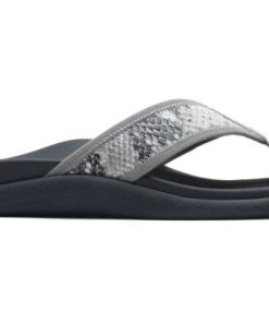 Vividvector.shop22ef1ca0fe 5