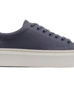 Vividvector.shop2412d77df8 3