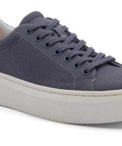 Vividvector.shop2412d77df8 4