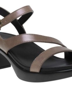 Vividvector.shop25d4e177d8 1