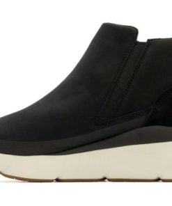 Vividvector.shop31ade2b83c 3