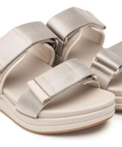 Vividvector.shop3366315e8e 4