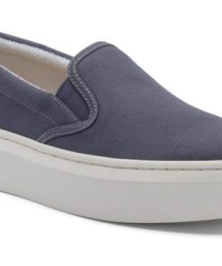 Vividvector.shop34764e183f 1