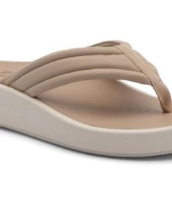 Vividvector.shop34a2db49f3 1