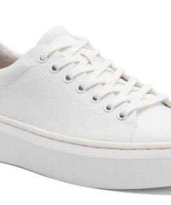 Vividvector.shop35d85b86b2 1