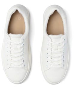 Vividvector.shop35d85b86b2 2