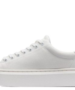 Vividvector.shop35d85b86b2 4