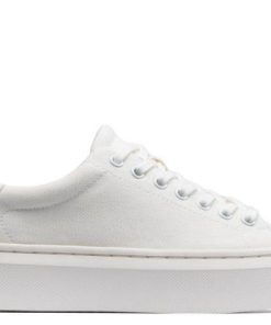 Vividvector.shop35d85b86b2 5