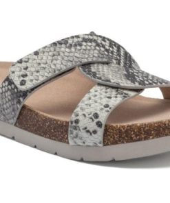 Vividvector.shop364a038a3b 1