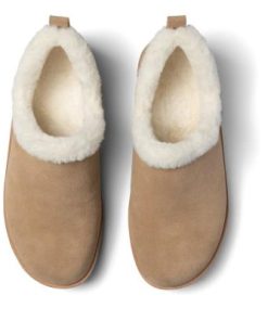 Vividvector.shop36846f2deb 2