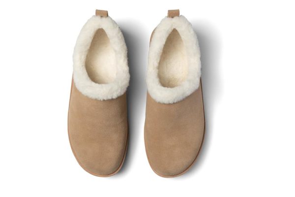 Vividvector.shop36846f2deb 2